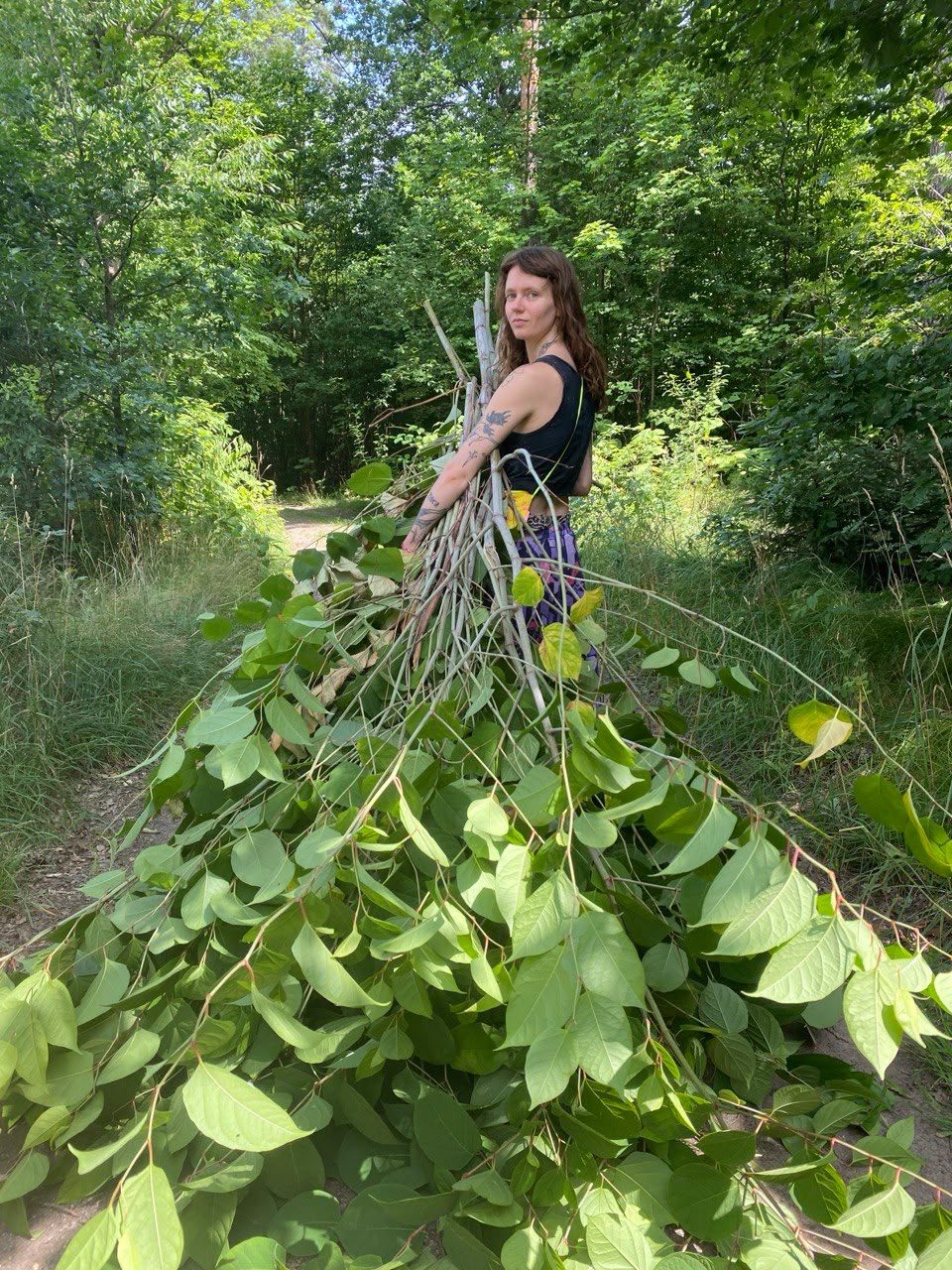 Deborah Geppert zieht ein großes Bündel geschnittenen Japanischen Staudenknöterichs über einen Waldweg